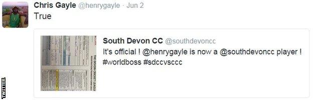 Chris Gayle South Devon tweet