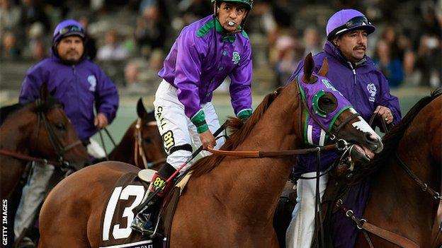 California Chrome