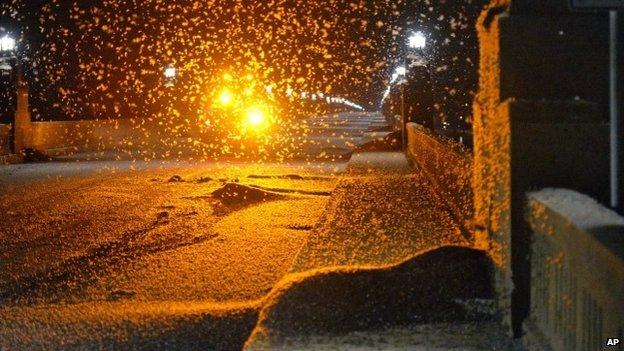 A swarm of mayflies hovers over a bridge in Pennsylvania, US