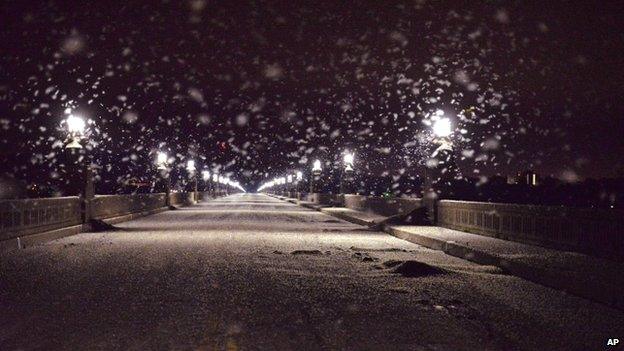 A swarm of mayflies hovers over a bridge in Pennsylvania, US