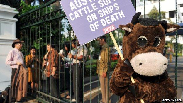 Indonesian demonstrators rally in front of a vandalized portrait of Australian PM Tony Abbott during a protest outside the Australian embassy in Jakarta, 2015.