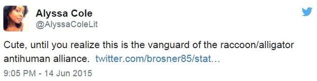 Alyssa Cole tweet 16 June 2015