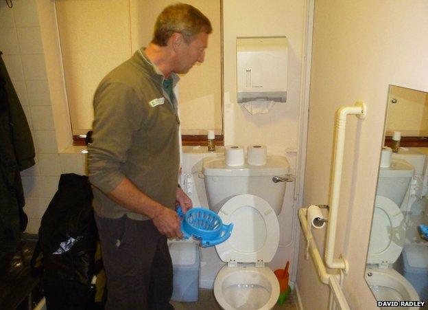 Chris Park trying to rescue toad in toilet