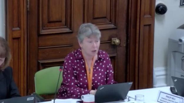 Karen McCarthy speaks at a meeting of the council cabinet. She is behind a laptop, speaking into a microphone. She is seated and wearing a purple blouse with white dots. She has grey short hair and is wearing an orange lanyard.