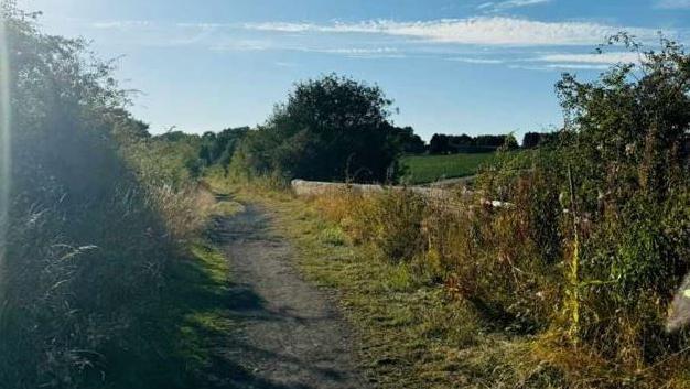 A photo of the path on the old railway line with the low wall of the bridge on the right hand side