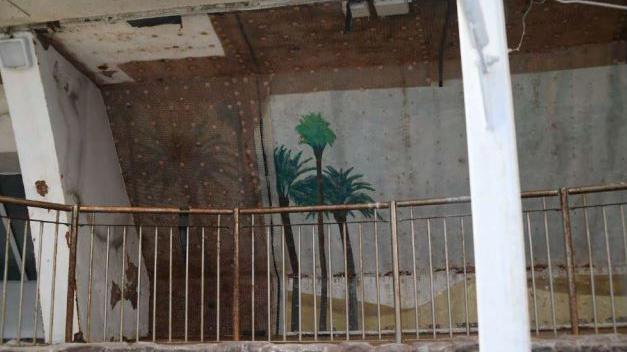 A view of the inside of the Oasis - rusty railings with a wall behind with peeling paint and an old mural of palm trees