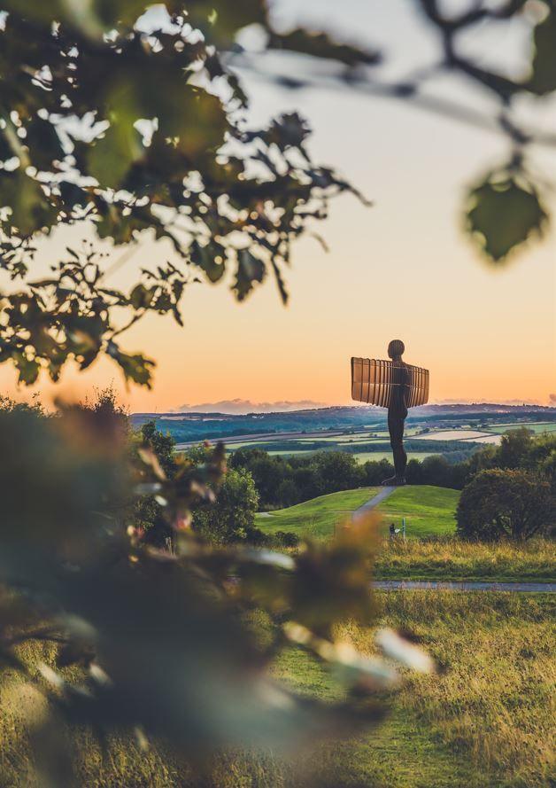 The Angel of the North, a giant human-shaped figure with large flat wings on either side, stands on a distant green hilltop with a pale orange sky beyond. The foreground is framed by the branches of a tree.