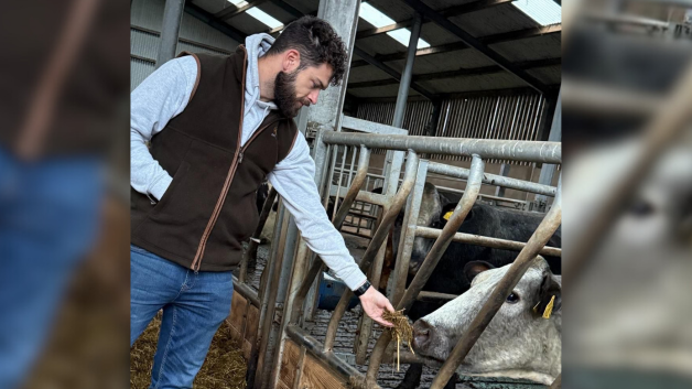 A man with short dark hair and dark beard is standing next to a pen of cows in a barn. He is wearing a grey hoodie, brown body warmer and blue denim jeans. He is feeding a dirty white cow some straw through the fence. There is a black cow in the background also.