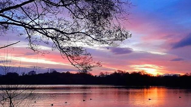 Ellesmere