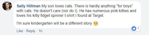 Facebook screen grab from Sally Hillman, reading: "My son loves cats. There is hardly anything "for boys" with cats. He doesn't care (nor do I). He has numerous pink kitties and loves his kitty fidget spinner t-shirt I found at Target."