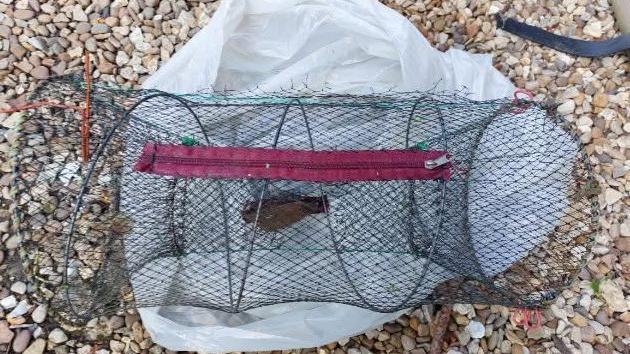 A long net with metal wire around the edges to make it a cylinder shape. At the top is a red zip.