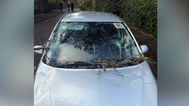 A silver car with broken windows. There is a branch stuck in the windscreen. 