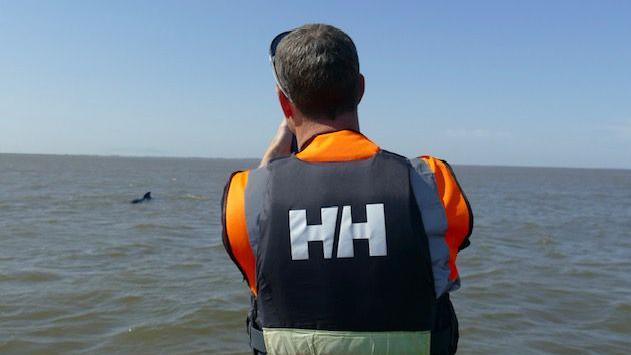 Man watching whale in the sea