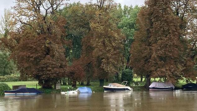 Five small boats on the river at Pangbourne. The water looks a little murky and they are pictured under three trees, with autumnal golden leaves, with green trees and grass beyond