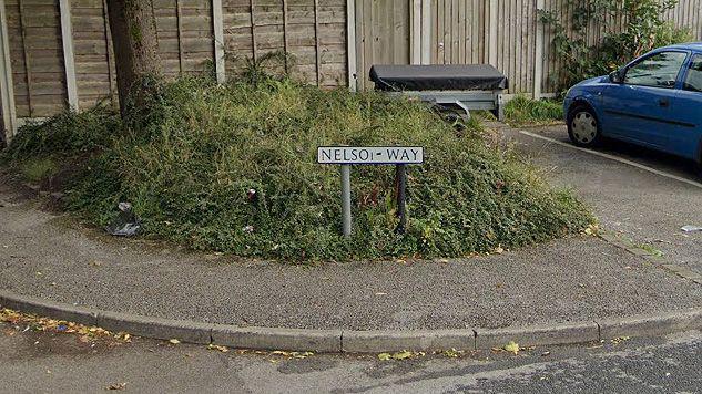 Nelson Way road sign, with the second 'N' missing, sits in front of a small area of  long, untidy grass around a tree with wooden fencing behind it and a blue car to the right.