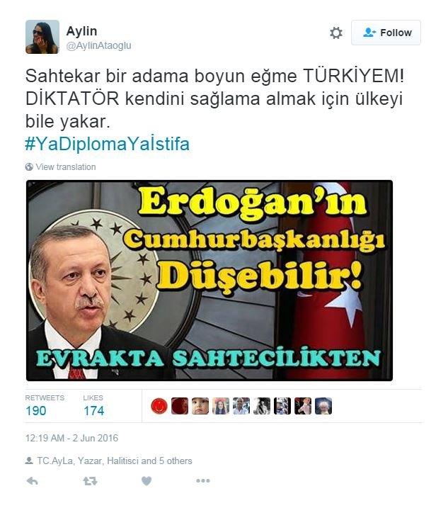 Tweet asking where Erdogan's degree is