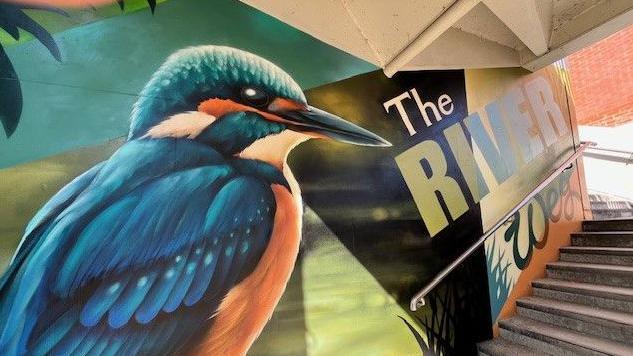 A large mural of a kingfisher and the words THE RIVER WEY on a wall next to some steps