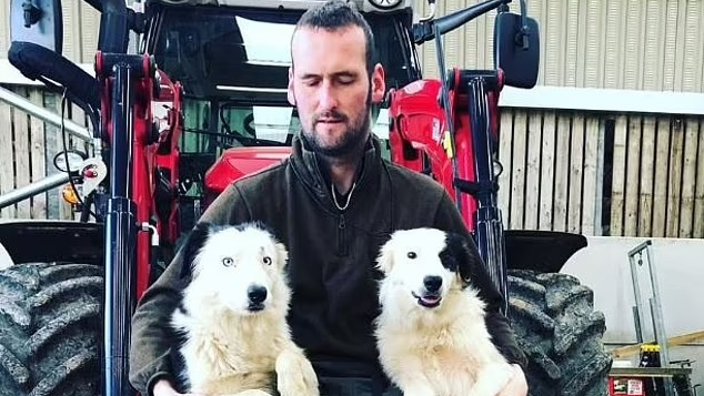 Ricky Rennie, wearing black trousers, jumper and boots, sits on a digger outside a barn with two sheep dogs leaning on his legs.