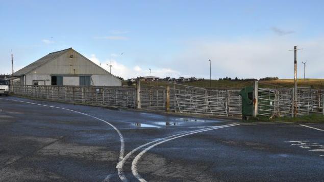 Margaidh sprèidh Loch Baghasdail