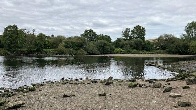 The River Dart in Totnes bordered by a shingle beach and trees