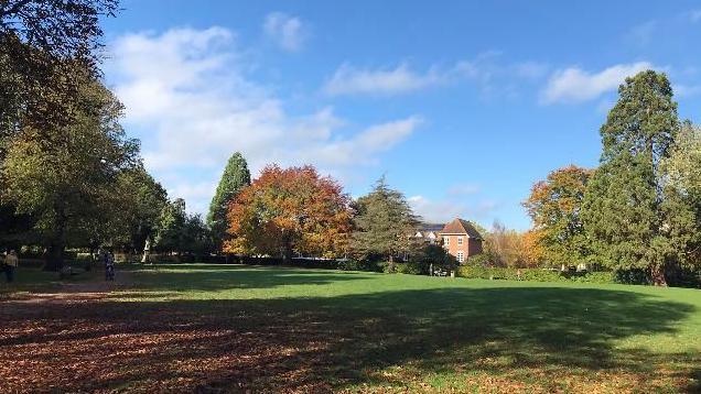 Autumnal trees, with leaves of gold and green, in the background, and open green space in the foreground with fallen brown leaves under the trees. The sky above is blue with some wispy white clouds.