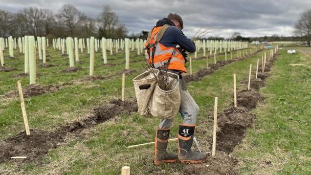 A man in a high vis vest plants tree whips in troughs in lines through a field.