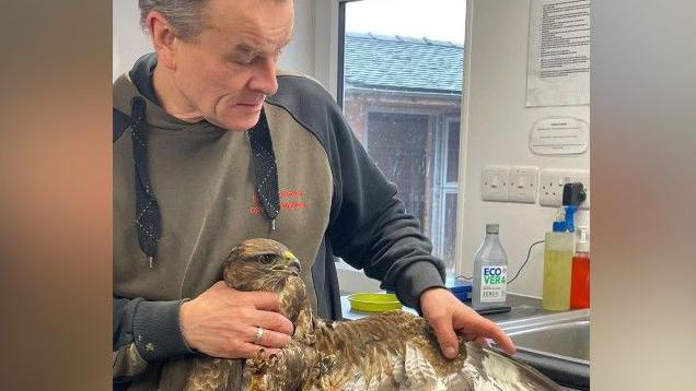 Jon Beresford holding a buzzard - a bird of prey slightly larger than a pigeon - by the shoulders, with its wing outstretched.