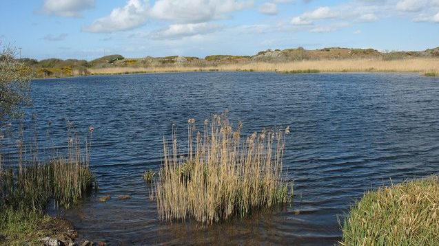 Llyn Cerrig Bach