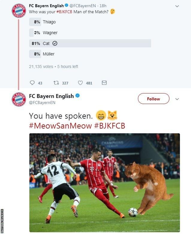 Bayern Twitter poll