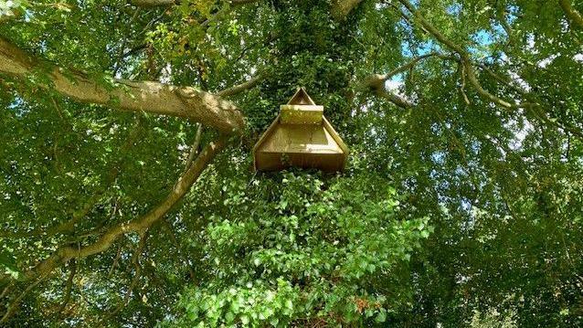 A wooden next box positioned on a tree on David's farm