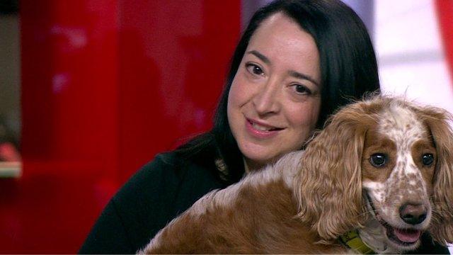 Daniel the Spaniel with his owner