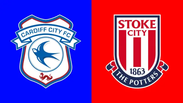 Stoke City vs Cardiff City.