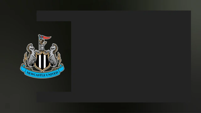 Newcastle club badge graphic