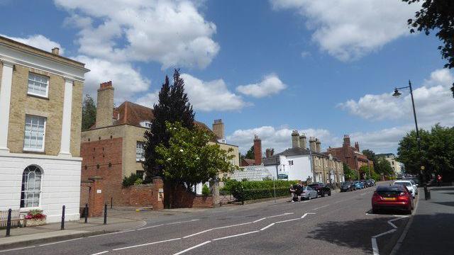 A road with cars parked on both sides. Outside a building on one side, there are two large trees and shrubs lining the pavement.