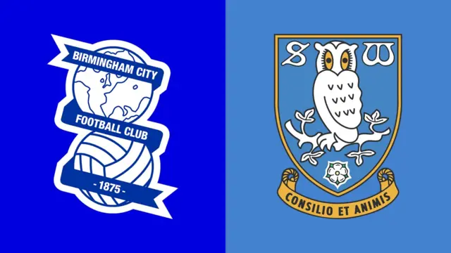 Club badges banner