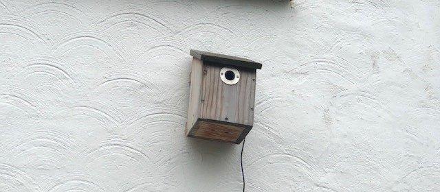 Bird box on the wall