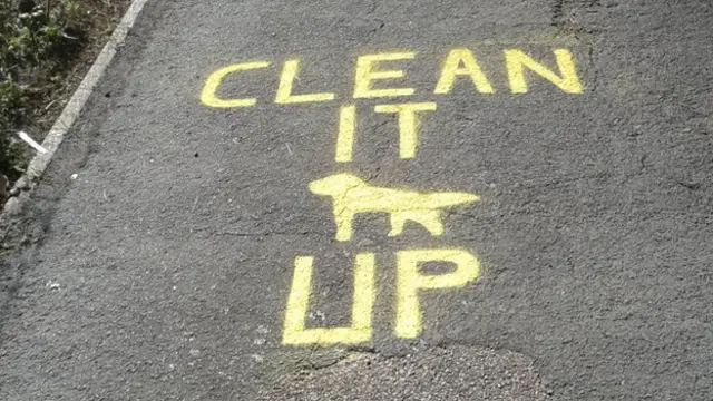 'Clean it up' paint in Leiston