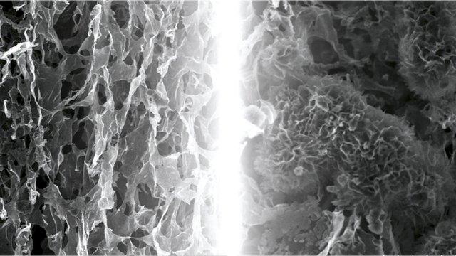 Two microscope images of graphene electrodes