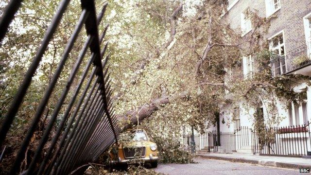 A fence and car are crushed by fallen trees