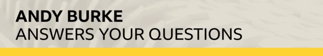 Q&A banner