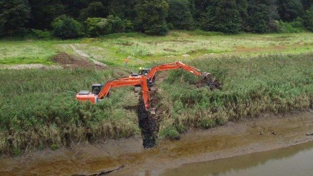 Diggers at site of estuary