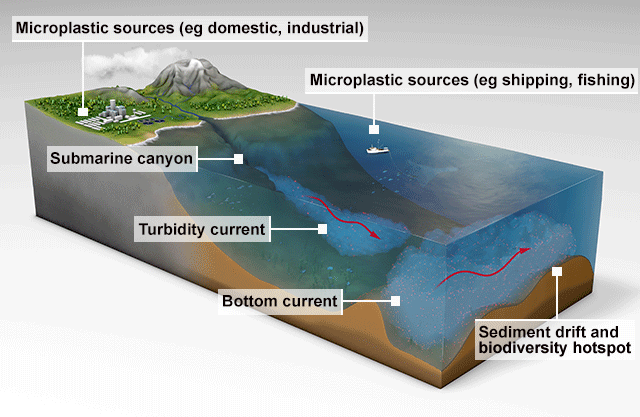 Diagram of deep sea movements