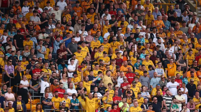 Wolves supporters watch a home match at Molineux