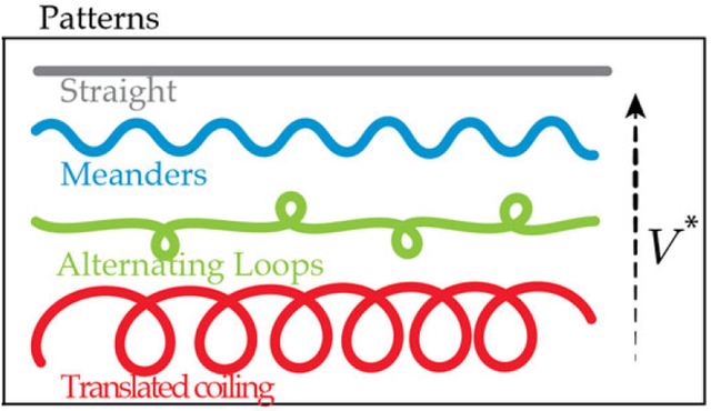 diagram of different loops