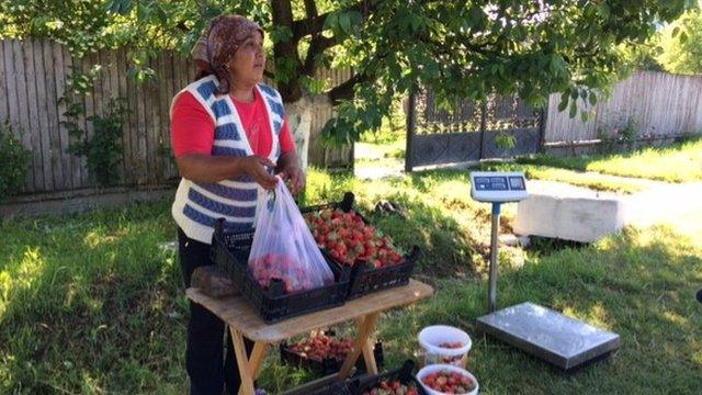 Romanian strawberry seller