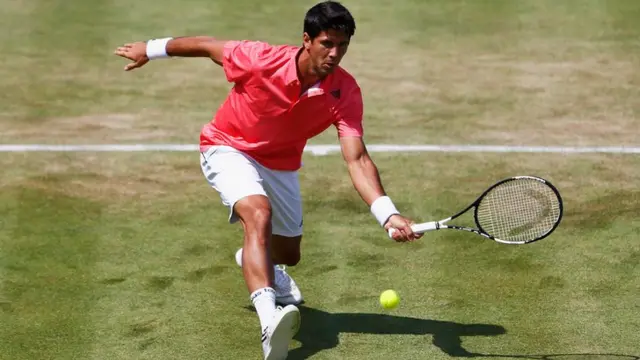 Fernando Verdasco