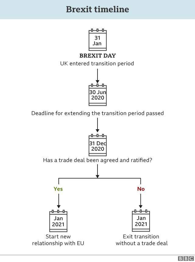 Flowchart explaining the next steps