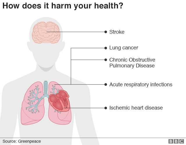 Graphic depicting how smog harms your health