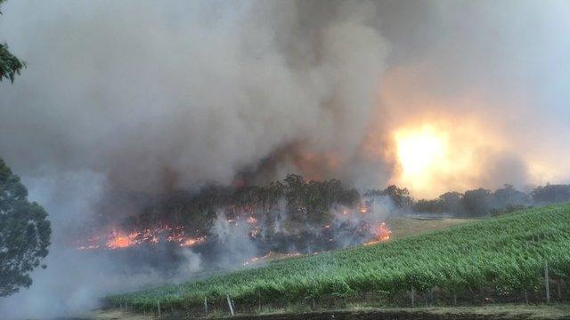 Burning brush land near Geoff Weaver Wines in the Adelaide Hills region of Australia.