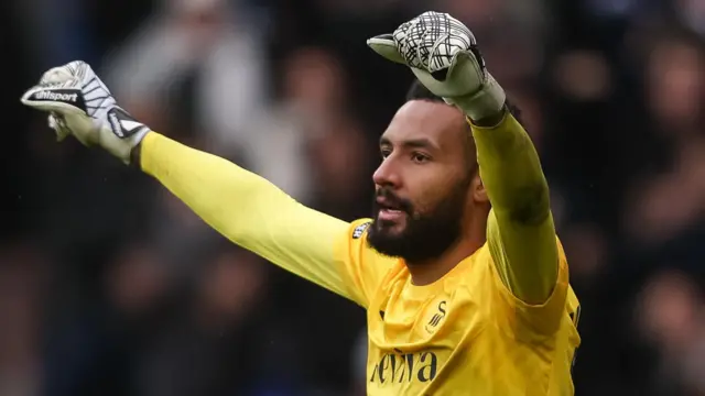 Swansea City goalkeeper Lawrence Vigouroux